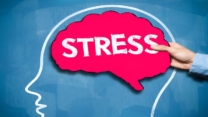 Chronic Stress: Alarming Health Impacts You Must Know
