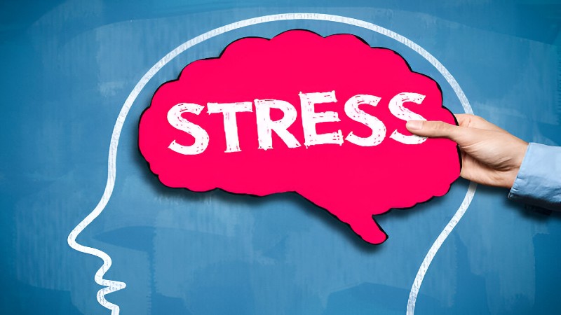Chronic Stress: Alarming Health Impacts You Must Know