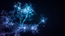 A Deep Dive into Neural Networks and Deep Learning